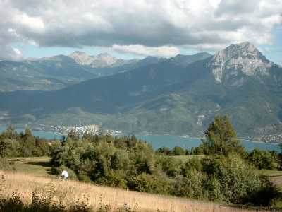 Images/19.jpg