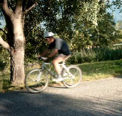 Images/30.jpg