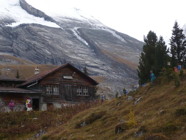 Images/Bos381.jpg