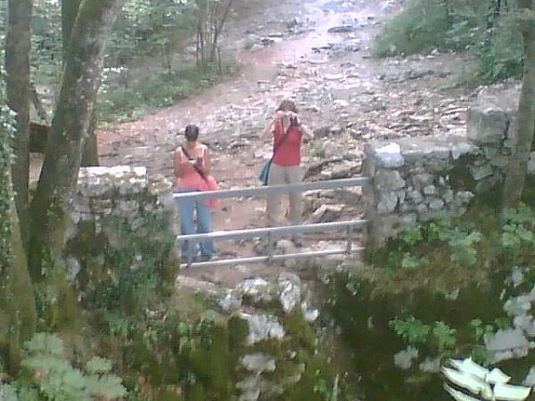 Images/slov022.jpg